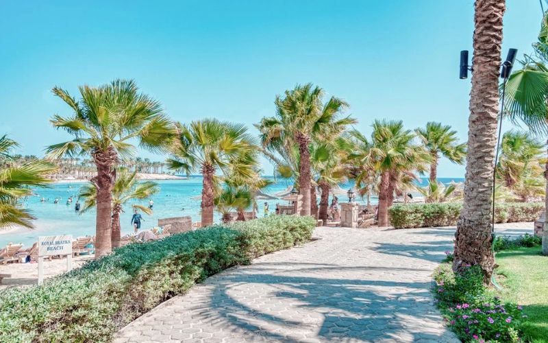 FUTURA CLUB BRAYKA RESORT - ROYAL BRAYKA